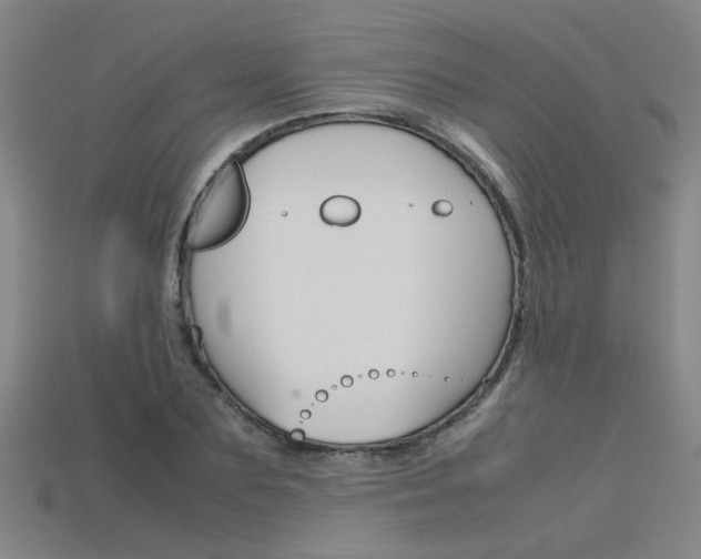 X0000115800883200911131020
