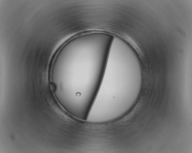 X0000115800884200911131020