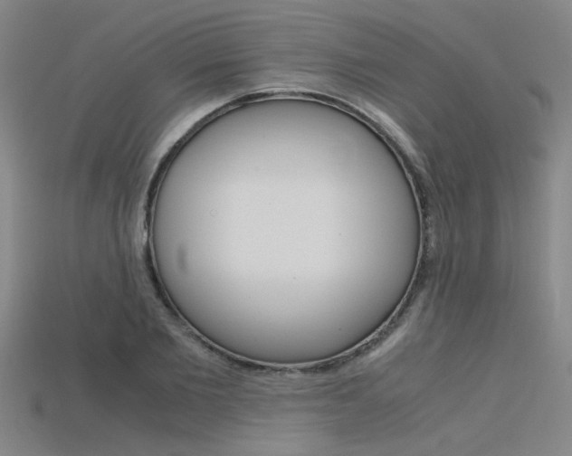 X0000115800885200911131020
