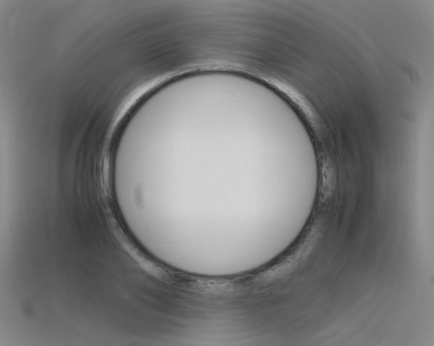 X0000115800886200911131020