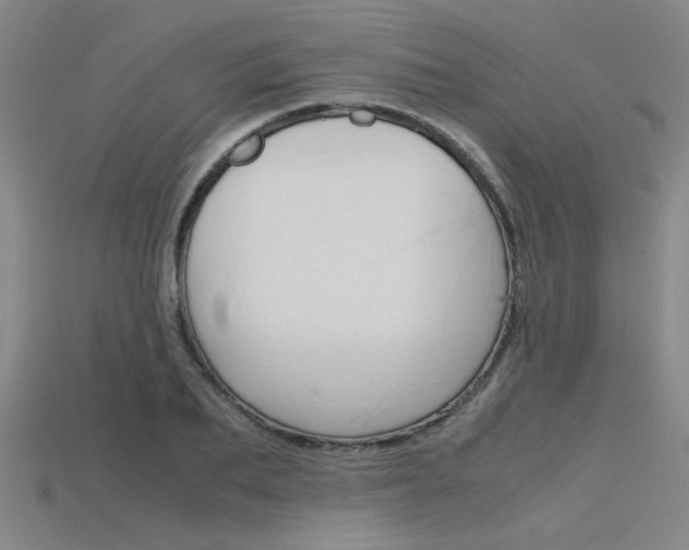 X0000115800887200911131020