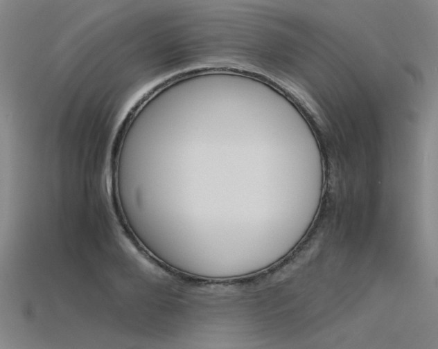 X0000115800888200911131020