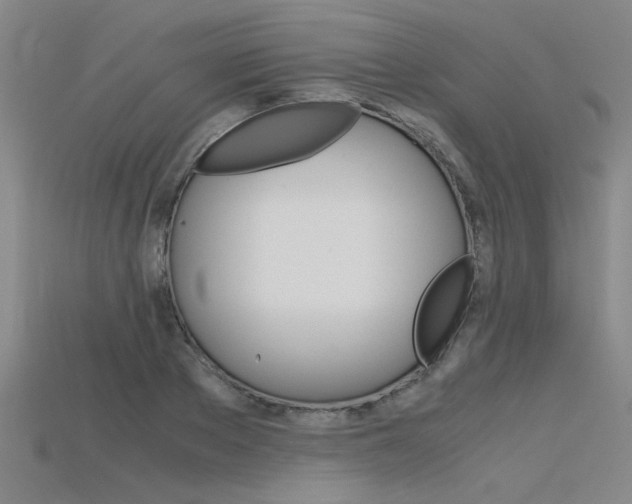 X0000115800889200911131020