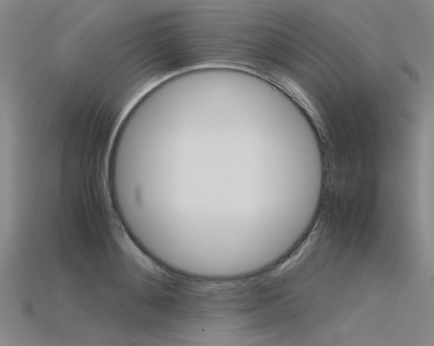 X0000115800892200911131020