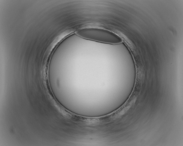 X0000115800893200911131020