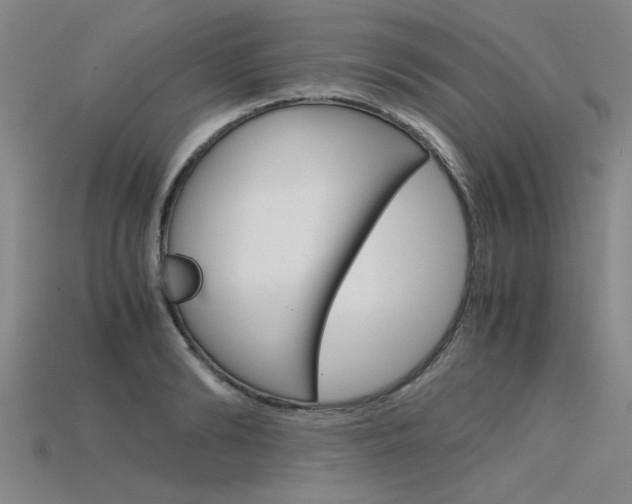 X0000115800894200911131020