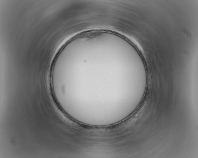 X0000115800895200911131020