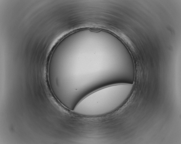 X0000115800896200911131020