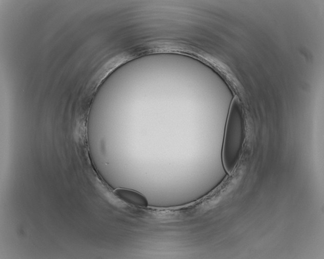 X0000115800897200911131020