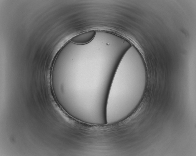 X0000115800898200911131020