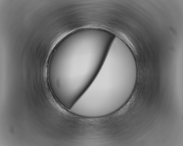 X0000115800900200911131020
