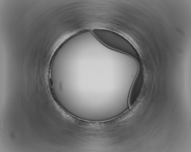 X0000115800901200911131020