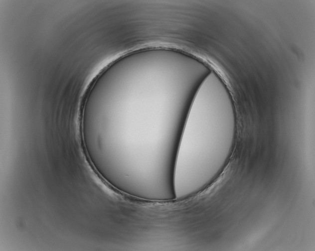 X0000115800902200911131020