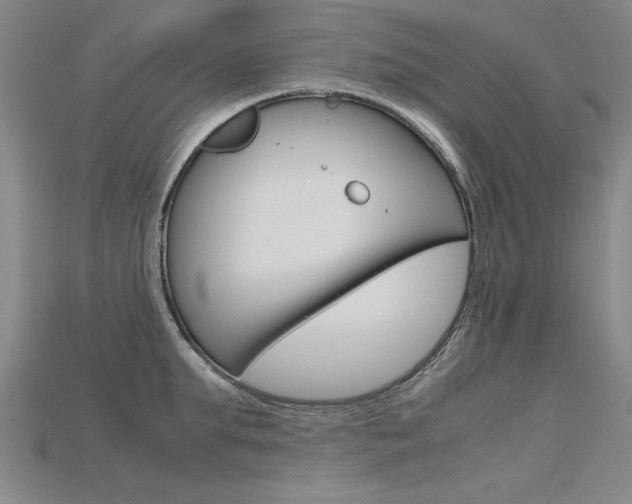X0000115800903200911131020