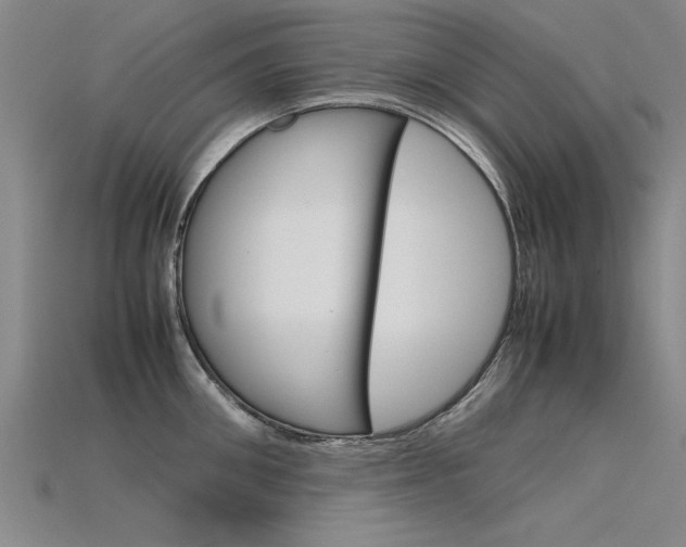 X0000115800906200911131020