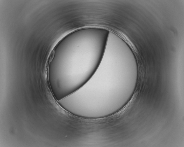 X0000115800908200911131020