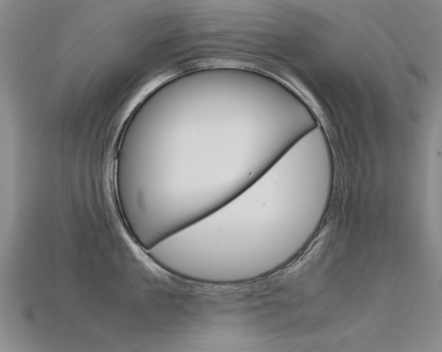 X0000115800909200911131020