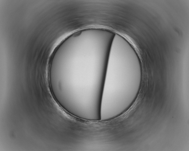 X0000115800910200911131020