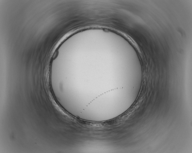 X0000115800911200911131020