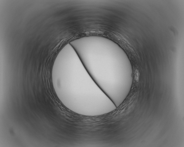 X0000115800915200911131019