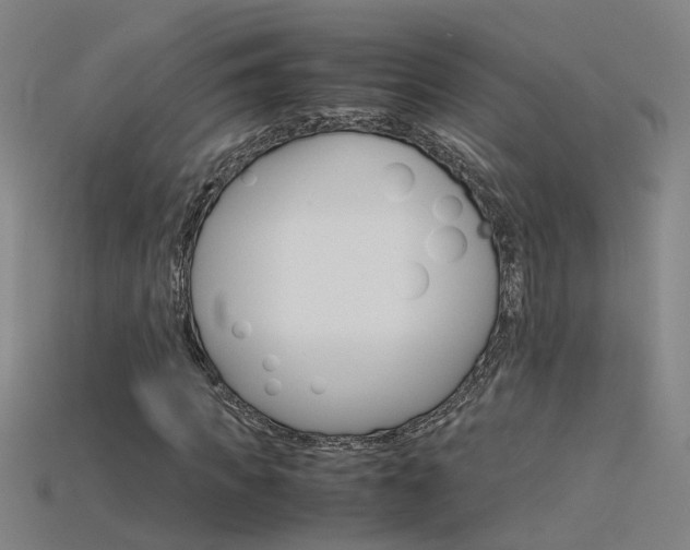 X0000115800917200911131019