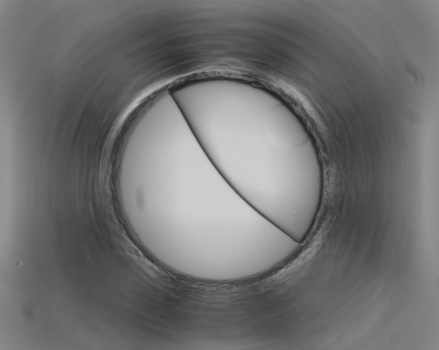 X0000115800923200911131019