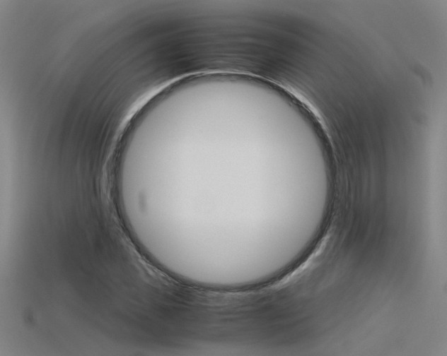 X0000115800925200911131019