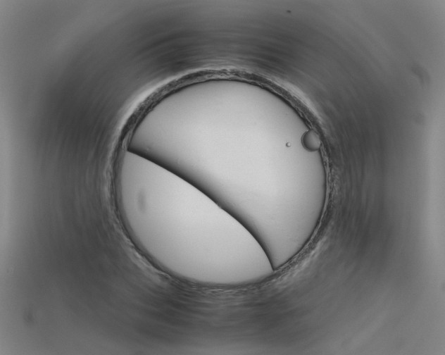 X0000115800927200911131019