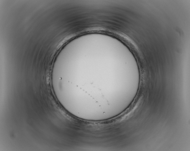 X0000115800929200911131019