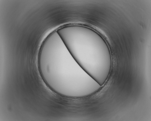 X0000115800935200911131019