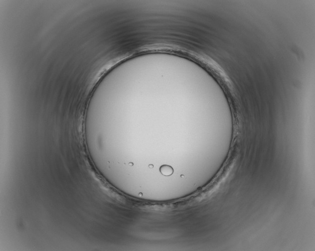 X0000115800937200911131019