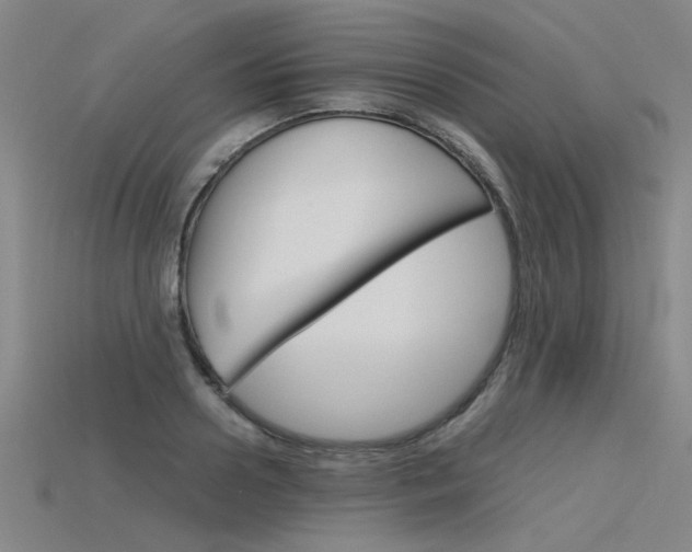 X0000115800938200911131019