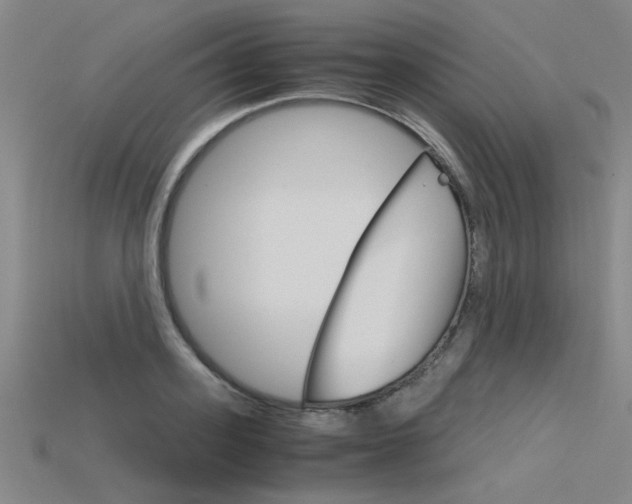 X0000115800939200911131019