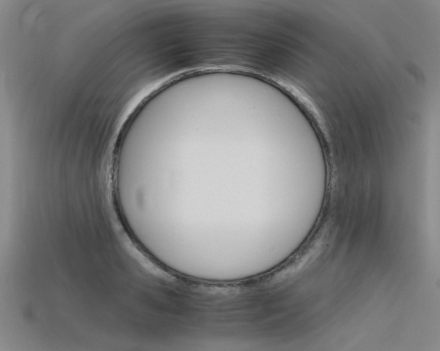 X0000115800941200911131019