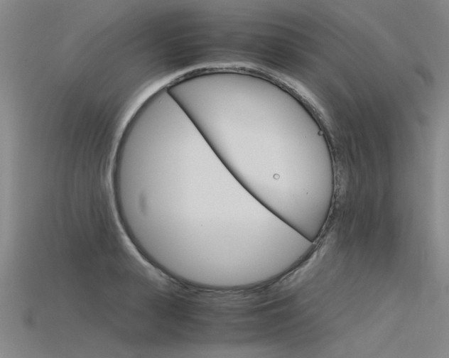 X0000115800943200911131019