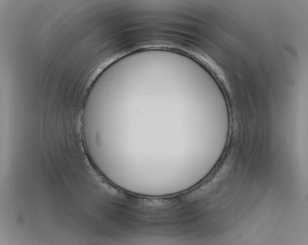 X0000115800945200911131019