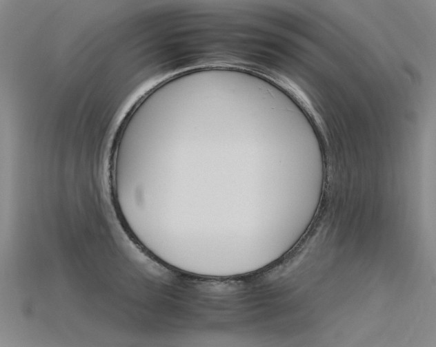 X0000115800947200911131019