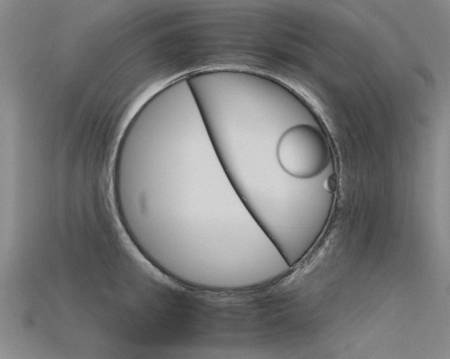 X0000115800949200911131019