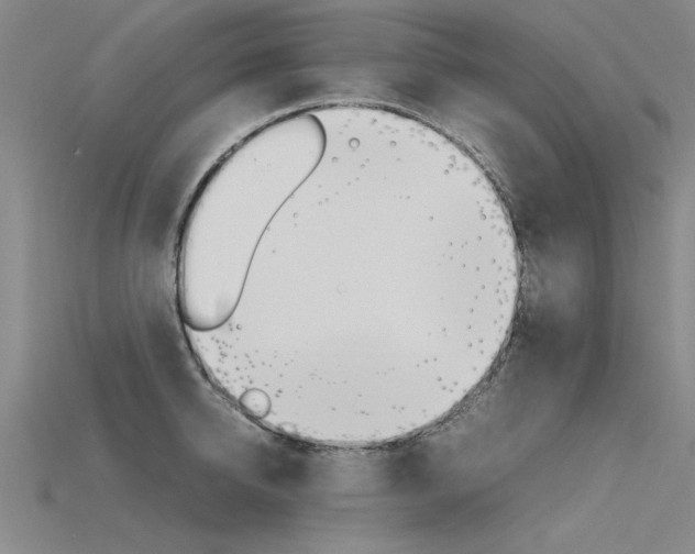 X0000115800950200911131019