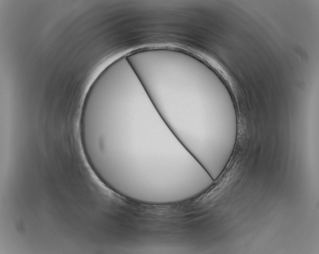 X0000115800951200911131020