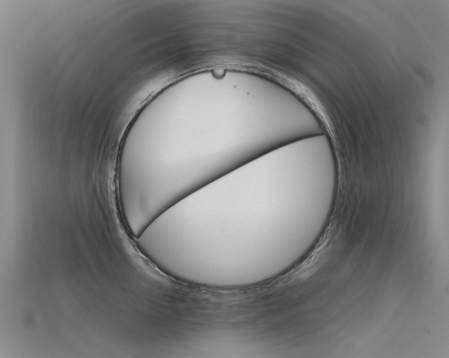 X0000115800954200911131020