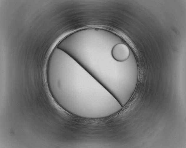 X0000115800955200911131020