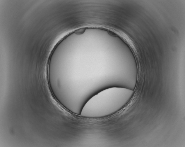 X0000115800958200911131020