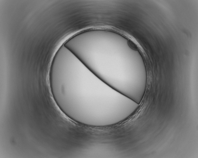 X0000115800959200911131020
