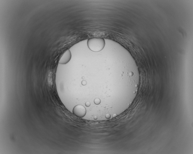 X0000115800962200911131019