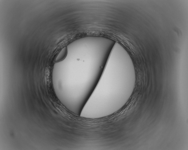 X0000115800964200911131019