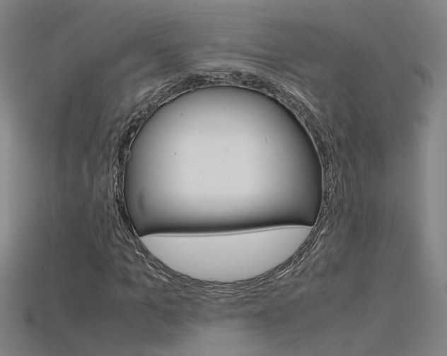 X0000115800965200911131019
