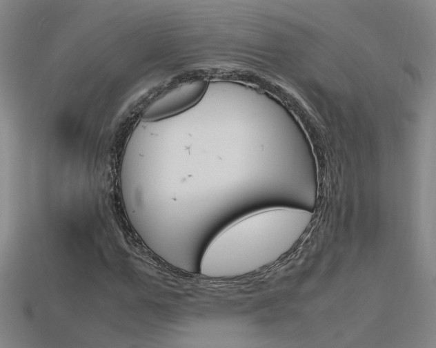 X0000115800967200911131019