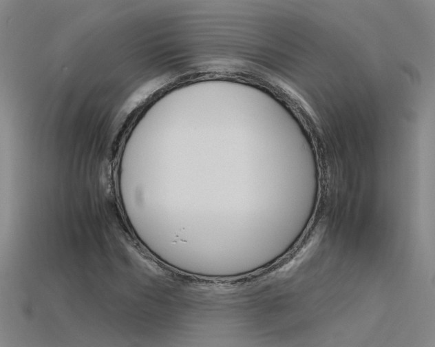 X0000115800970200911131019