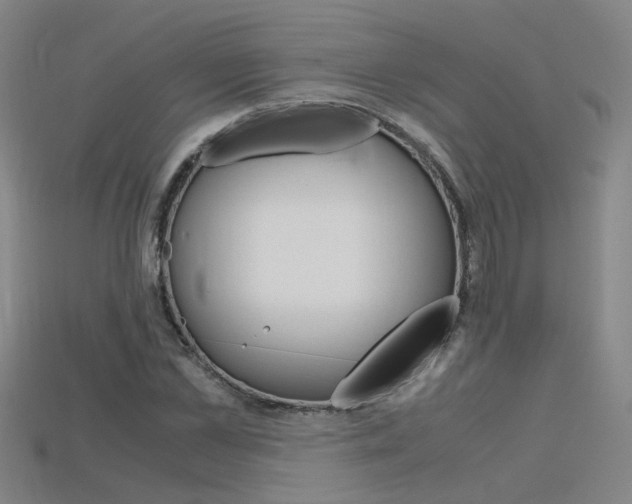 X0000115800973200911131019